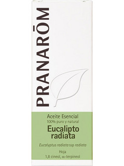 Pranarom Αιθέριο Έλαιο Ευκάλυπτος 10ml