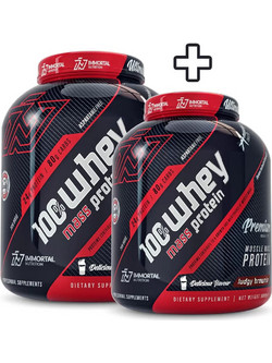 Immortal Nutrition Whey Mass Fudgy Brownie Πρωτεΐνη Ορού Γάλακτος Όγκου 2X3kg