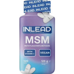 Inlead MSM & Vitamin C 120 Ταμπλέτες