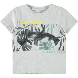 Name It Παιδικό T-Shirt Κοντομάνικο Γκρι 13163506