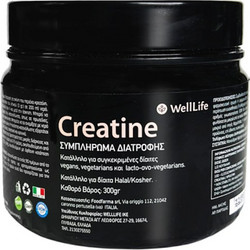Well Life Creatine Micronized Powder 300gr
