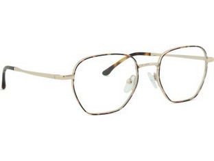 Centrostyle 0569 Ανδρικός Σκελετός Γυαλιών Οράσεως Μεταλλικός Χρυσός Ταρταρούγα