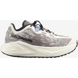 Salomon Aero Glide 4 Γυναικεία Αθλητικά Παπούτσια Trail Running Γκρι L49175-500