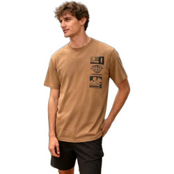 Whistler Ανδρικό Αθλητικό T-Shirt Καφέ W261254-5370