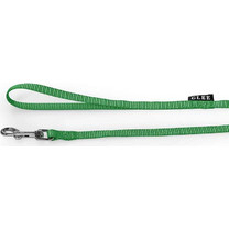 Glee Double Λουρί Σκύλου 1.22m x 16mm Πράσινο