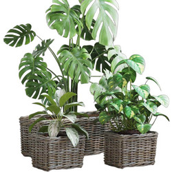 vidaXL Σετ Κασπώ Καλάθια Rattan Γκρι 3τμχ