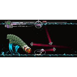 Touhou Luna Nights Collector's Edition Nintendo Switch