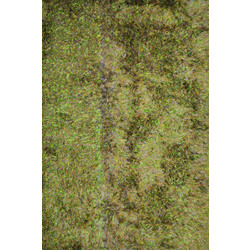 Sprintzio Χαλί Ορθογώνιο Shaggy Γούνινο 160x230cm 9027 Green Assorted