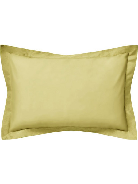 Σετ 2 μαξιλαροθήκες 50x75 Oxford 5cm 100 βαμβακερό 205 κλωστές ανοιχτό πράσινο c376982