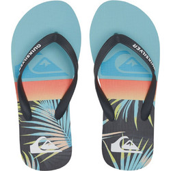 Quiksilver Molokai Art Παιδικές Σαγιονάρες για Αγόρι Μπλε AQBL100558-BYJ2