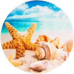 Starfish On Sand