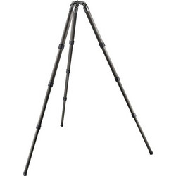 Gitzo GT5542LS