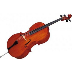 STRUNAL Ν.40/1 & Case