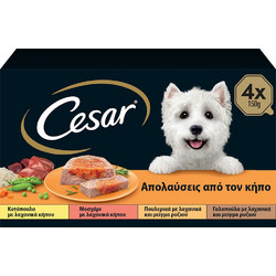 Cesar Garden Selection with Chicken, Veal, Poultry & Turkey 4x150gr