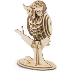 Robotime Owl TG252