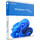 Microsoft Windows 11 Professional