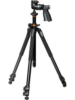 Vanguard Alta Pro 2 263AGH With Head