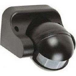SENSO 07-00113-2