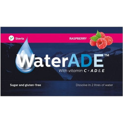 Raspberry Βιταμινούχο Στιγμιαίο Ρόφημα Σε Σκόνη 10gr