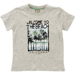 Funky Παιδικό T-Shirt Κοντομάνικο Γκρι 122-305116-1
