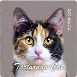 Action Lab Μαγνητάκι Magnet Tartarouga Cat
