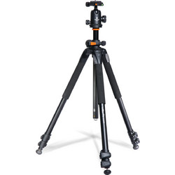 Vanguard Alta Pro 263AB 100 With Head
