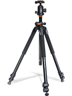 Vanguard Alta Pro 263AB 100 With Head