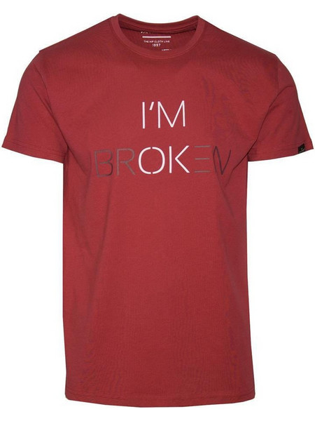 T-shirt με τύπωμα Van Hipster
