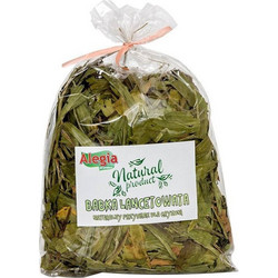 Alegia Babka Lancetowata 100g Translation Alegia Lancet-shaped Loaf 100g
