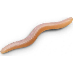 Delphin StinxWORM Τεχνητό Δόλωμα 4cm SKINY