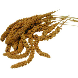 Vadigran French Millet Sprays Yellow Κλαδιά Μίλετ 25kg Χύμα