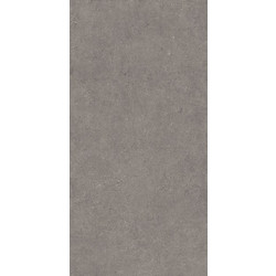 RAVENNA Sandstone Gray Matt Rectified 160 x 320 6mm