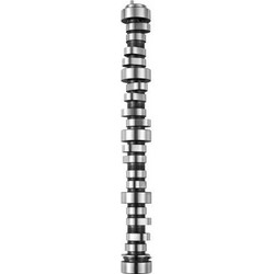 VEVOR Engine Camshaft, 12625437 SP011-16 Cam Replacement, Compatible with Norris trucks from 1999-2013 GM Gen3/4, LS Truck Engine 4.8L, 5.3L, 6.0L, and 6.2L