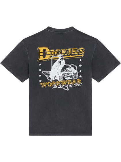 Dickies Μπλούζα Κοντομάνικη Gainesville t-shirt black