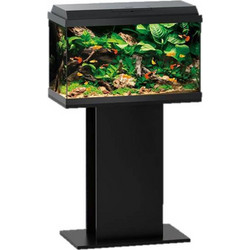 Juwel Aquarium Primo 70 Ενυδρείο Ψαριών με Βάση Έπιπλο, Φωτισμό, Θερμαντήρα, Κυκλοφορητή & Φίλτρο 70lt Μαύρο