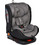 Lorelli Ares Κάθισμα Αυτοκινήτου i-Size 0-36kg ISOfix Grey