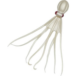 Oceanic Octopus Τεχνητό Δόλωμα Χταποδάκι Silver