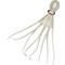 Oceanic Octopus Τεχνητό Δόλωμα Χταποδάκι Silver
