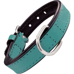Gloria Pets Padded Δερμάτινο Κολάρο Σκύλου Τιρκουάζ 2x45cm