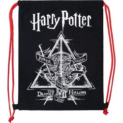 Stor Harry Potter 75305