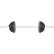vidaXL 3145017 Ίσια Μπάρα Σετ με Βάρη 60kg Φ25mm με Κολάρα Μανταλάκια