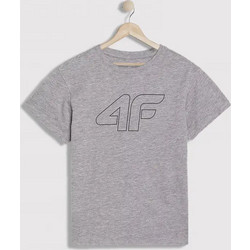 4F Παιδικό T-Shirt Κοντομάνικο Γκρι 4FJWMM00TTSHM2331-25M