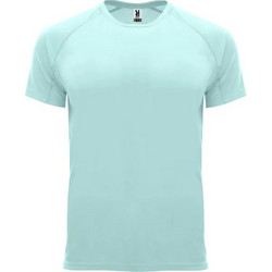 Roly Bahrain Παιδικό T-Shirt Κοντομάνικο Πράσινο Mint 0407
