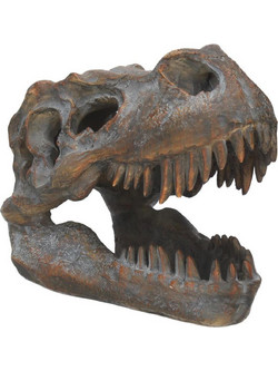 Nemesis Now Tyrannosaurus Rex Skull 16 cm