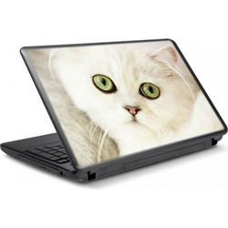 Όμορφο Γατάκι Αυτοκόλλητο για Laptop 11.6" 27x20cm