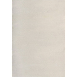Polcarpet Veloute Cozy Χαλί Ορθογώνιο 200x290cm 1820 Λευκό