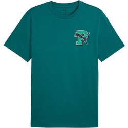 Puma Graphic Varsity Tee Ανδρικό Αθλητικό T-Shirt Πράσινο 691776-41