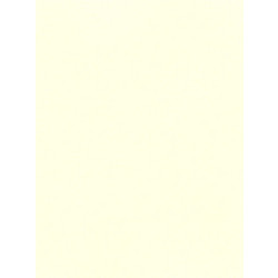 Favini Χαρτόνι Κανσόν Μπεζ 50x70cm 831.5070.05T