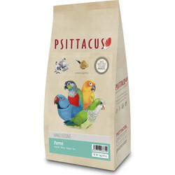 Psittacus Parrot Hand Feeding 1kg