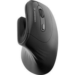 Wozinsky WWM-1076 Ασύρματο Ποντίκι Vertical Black
